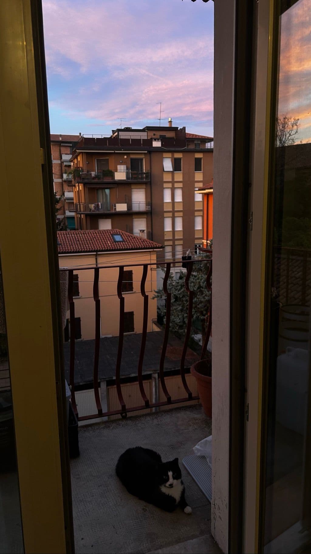Stanza singola a Verona